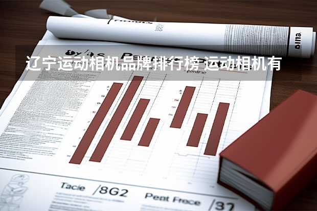 辽宁运动相机品牌排行榜 运动相机有哪些