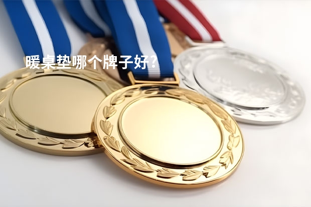 暖桌垫哪个牌子好?