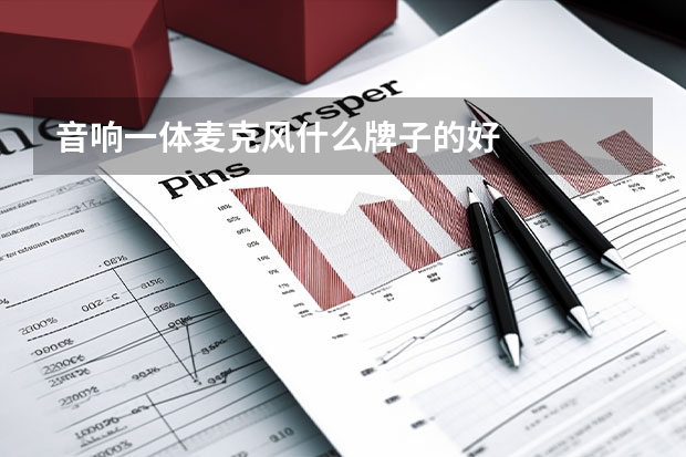 音响一体麦克风什么牌子的好