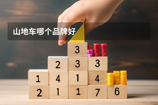 山地车哪个品牌好