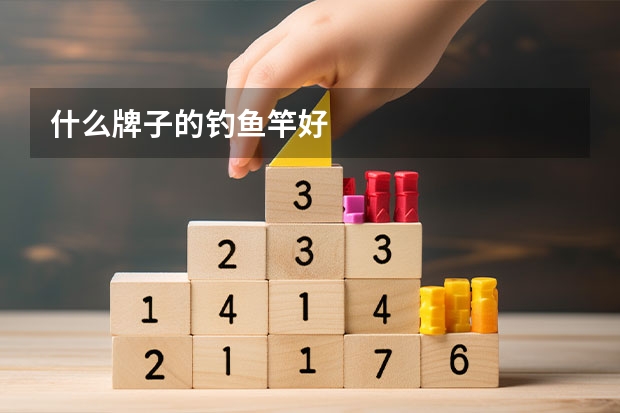 什么牌子的钓鱼竿好