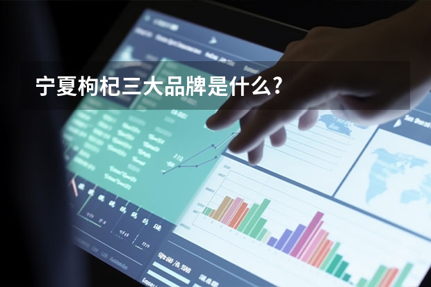 宁夏枸杞三大品牌是什么?