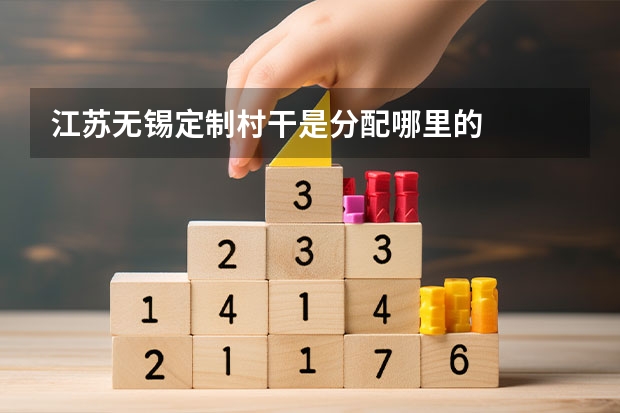 江苏无锡定制村干是分配哪里的