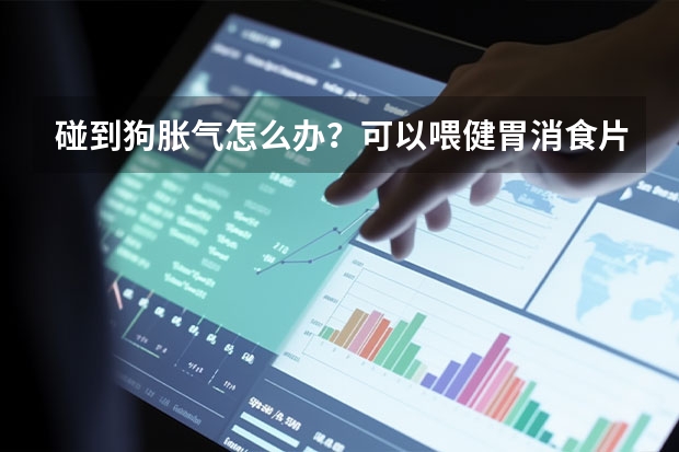 碰到狗胀气怎么办？可以喂健胃消食片吗？