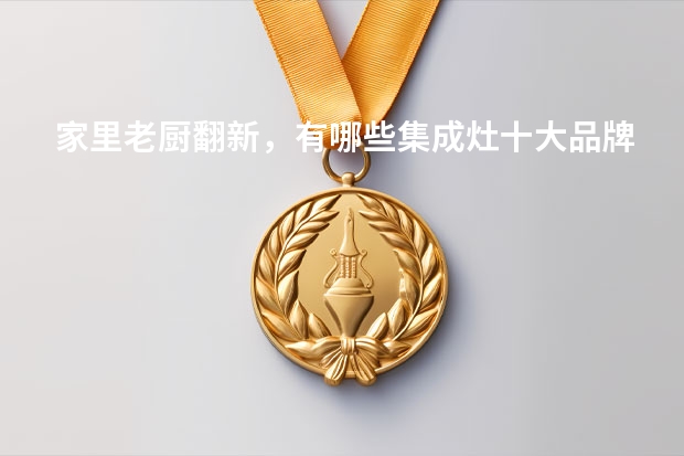 家里老厨翻新，有哪些集成灶十大品牌提供改装服务？