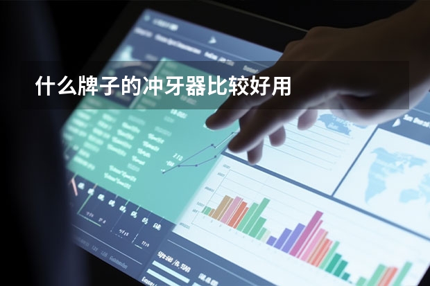 什么牌子的冲牙器比较好用