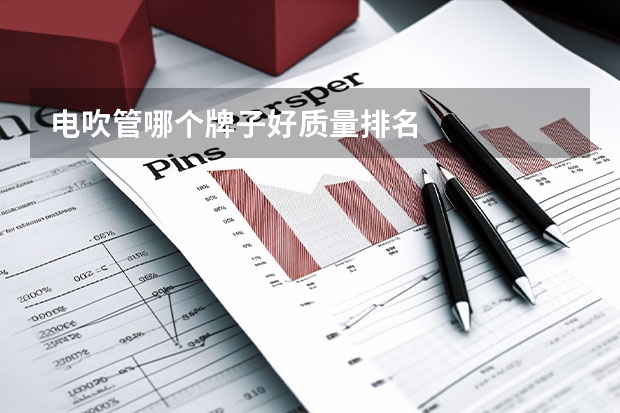 电吹管哪个牌子好质量排名