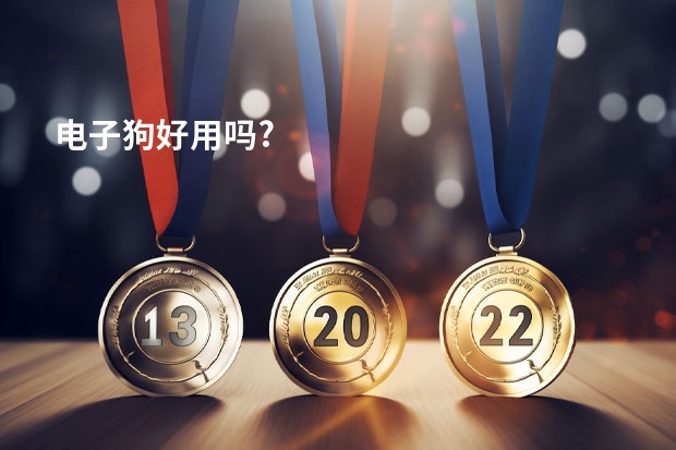 电子狗好用吗?