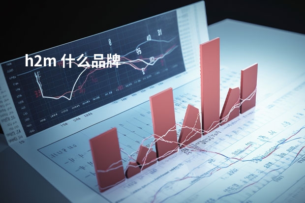 h2m 什么品牌