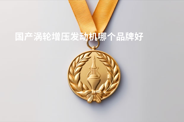 国产涡轮增压发动机哪个品牌好