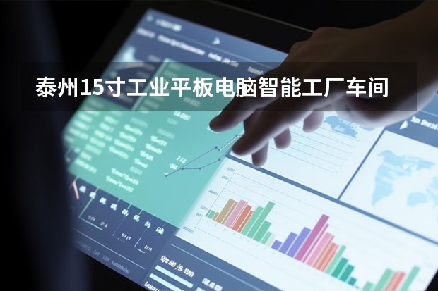 泰州15寸工业平板电脑智能工厂车间用的工业平板电脑哪个厂家生产的产品牌子不错