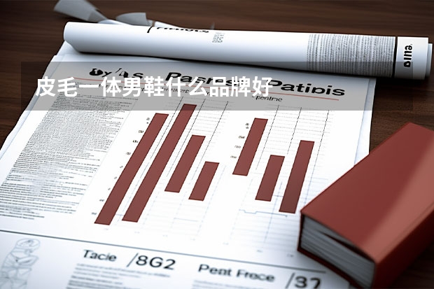 皮毛一体男鞋什么品牌好