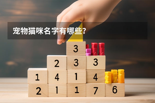 宠物猫咪名字有哪些？