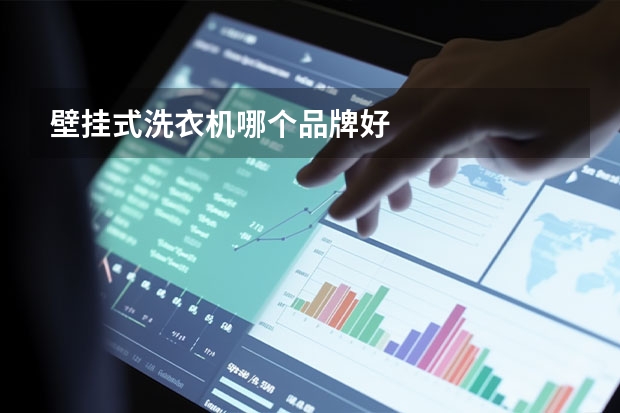 壁挂式洗衣机哪个品牌好